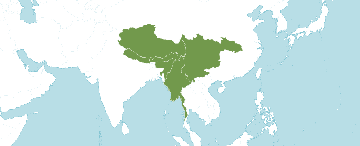 A map of the world showing where campbells magnolia is native and introduced to