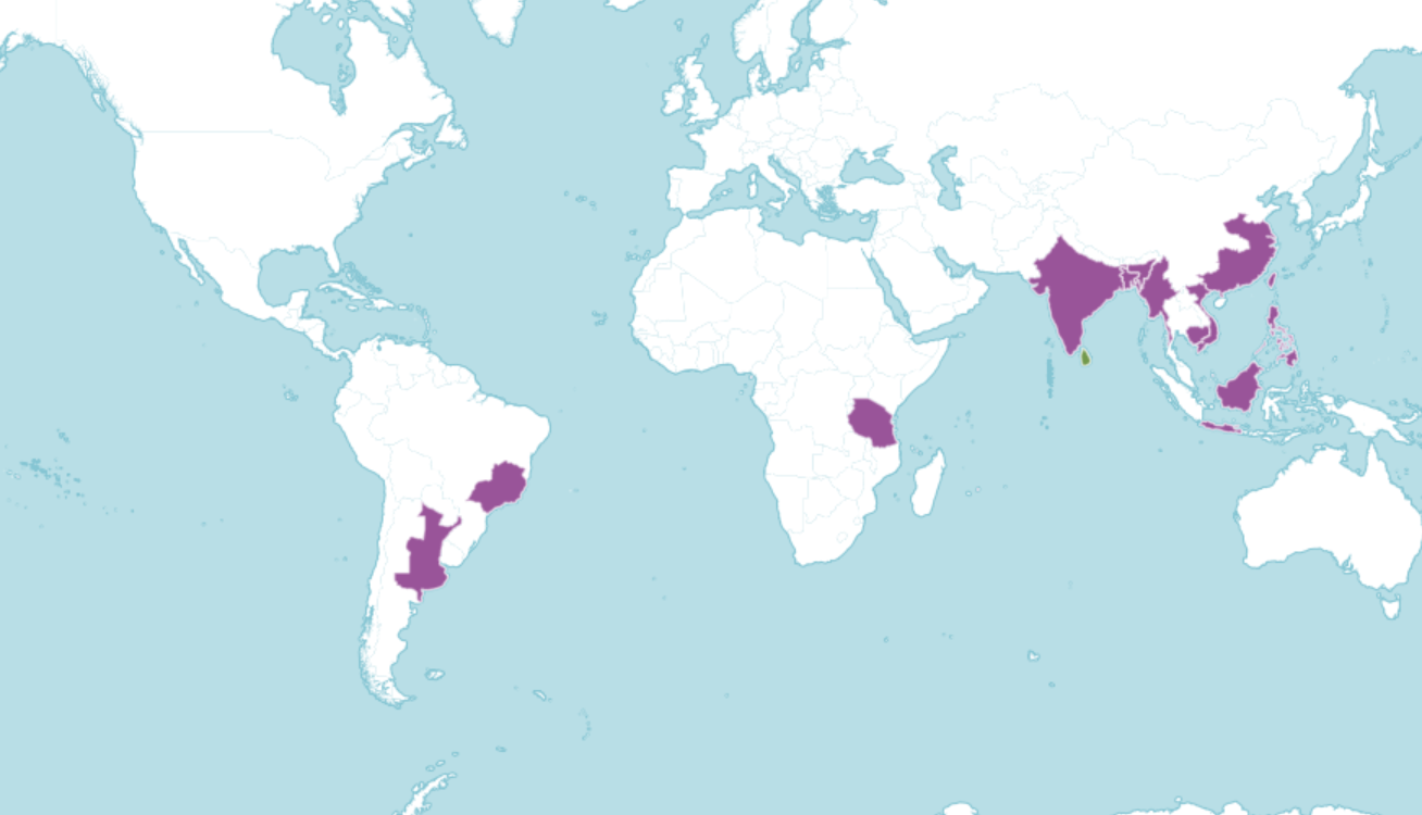 Map of the world showing where cinnamon is native and introduced to