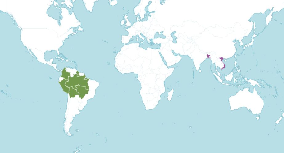 Map of the world showing where giant waterlily is native and introduced to