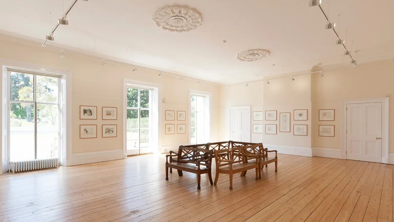Gallery at Cambridge Cottage