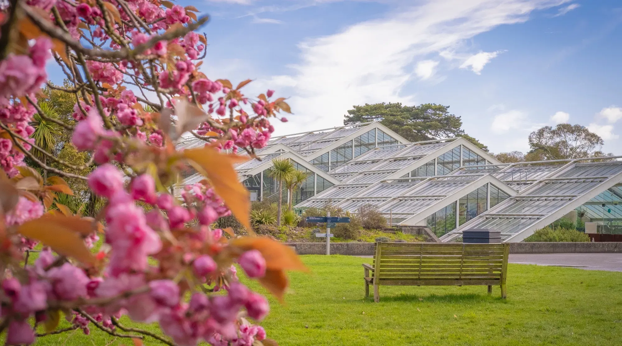 Princess of Wales glasshouse with blossoms in the foreground