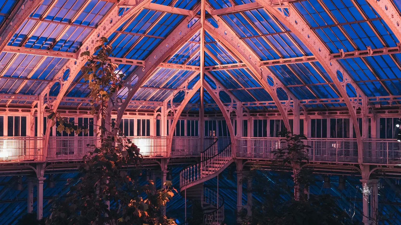 Temperate House evening