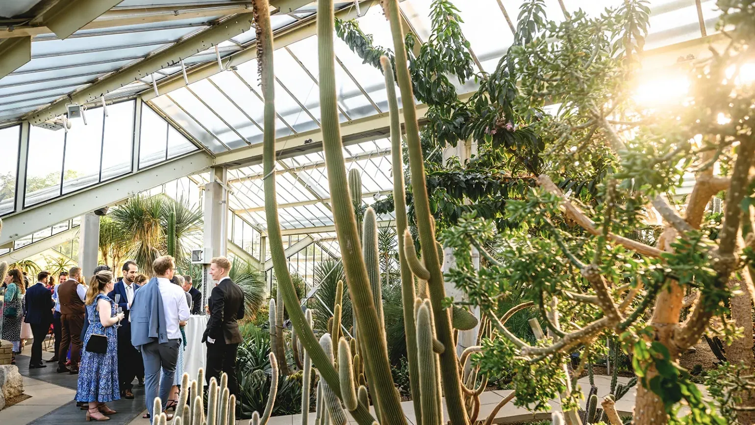 Drinks reception in the Princess of Wales Conservatory