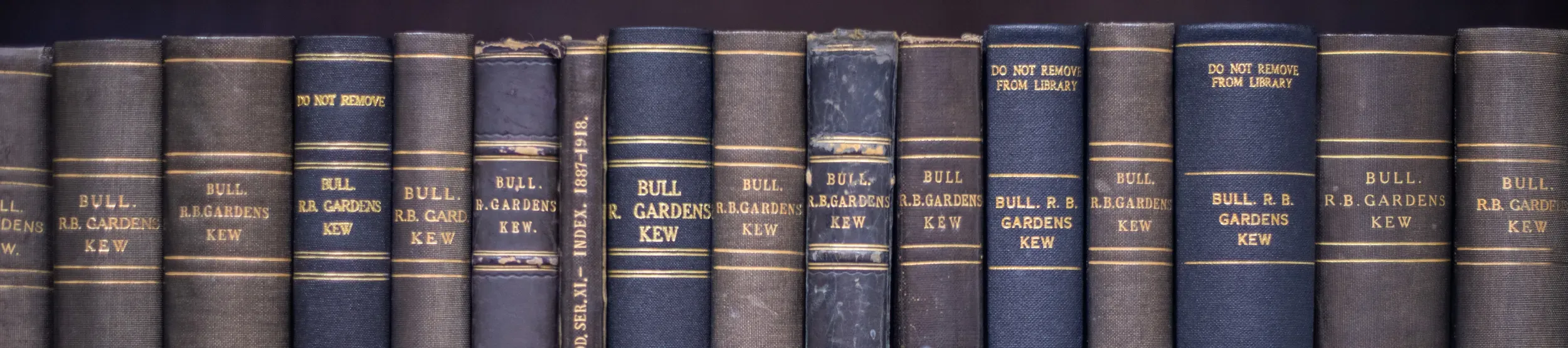 Books on a shelf