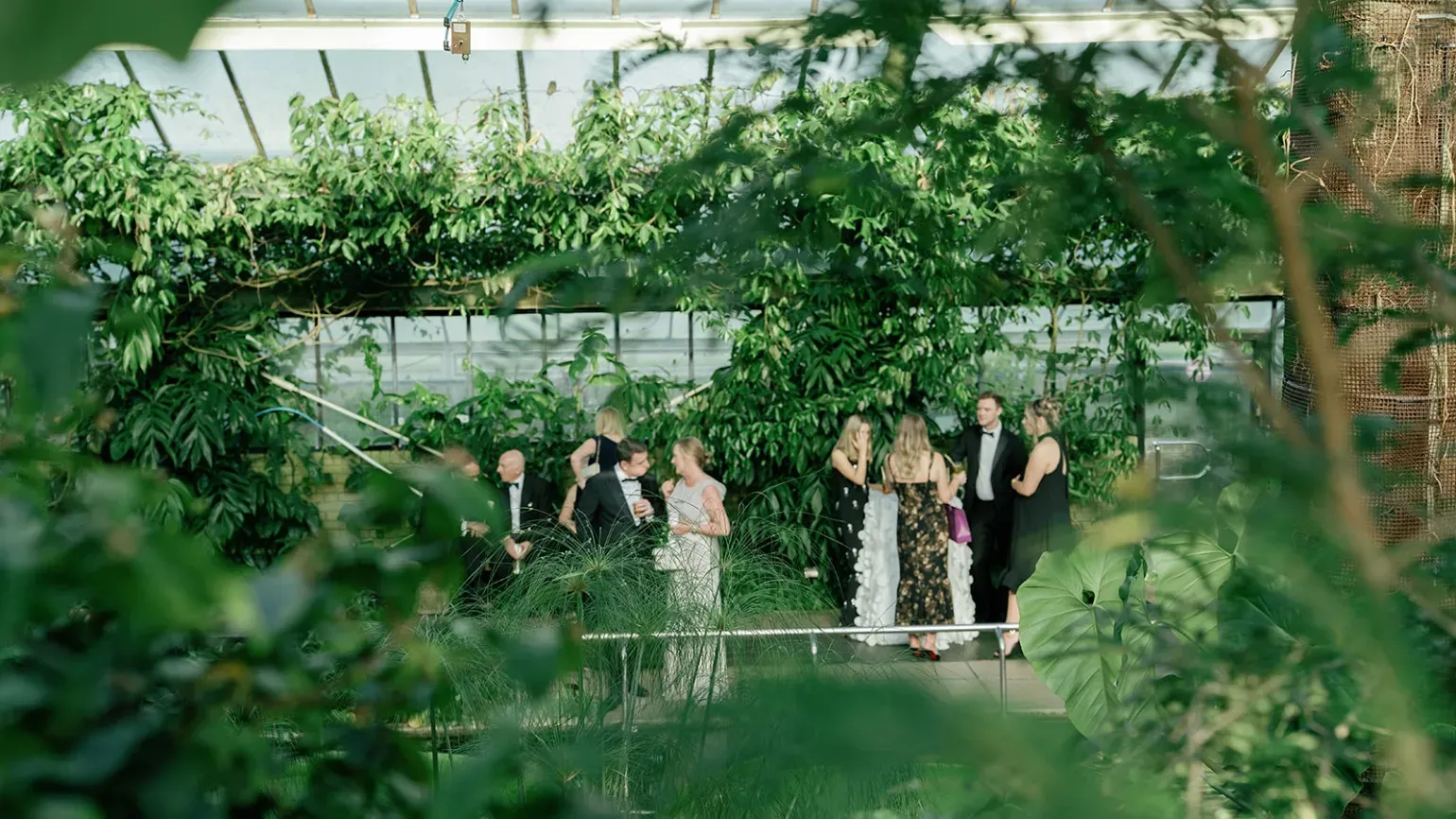 Drinks reception in the Princess of Wales Conservatory
