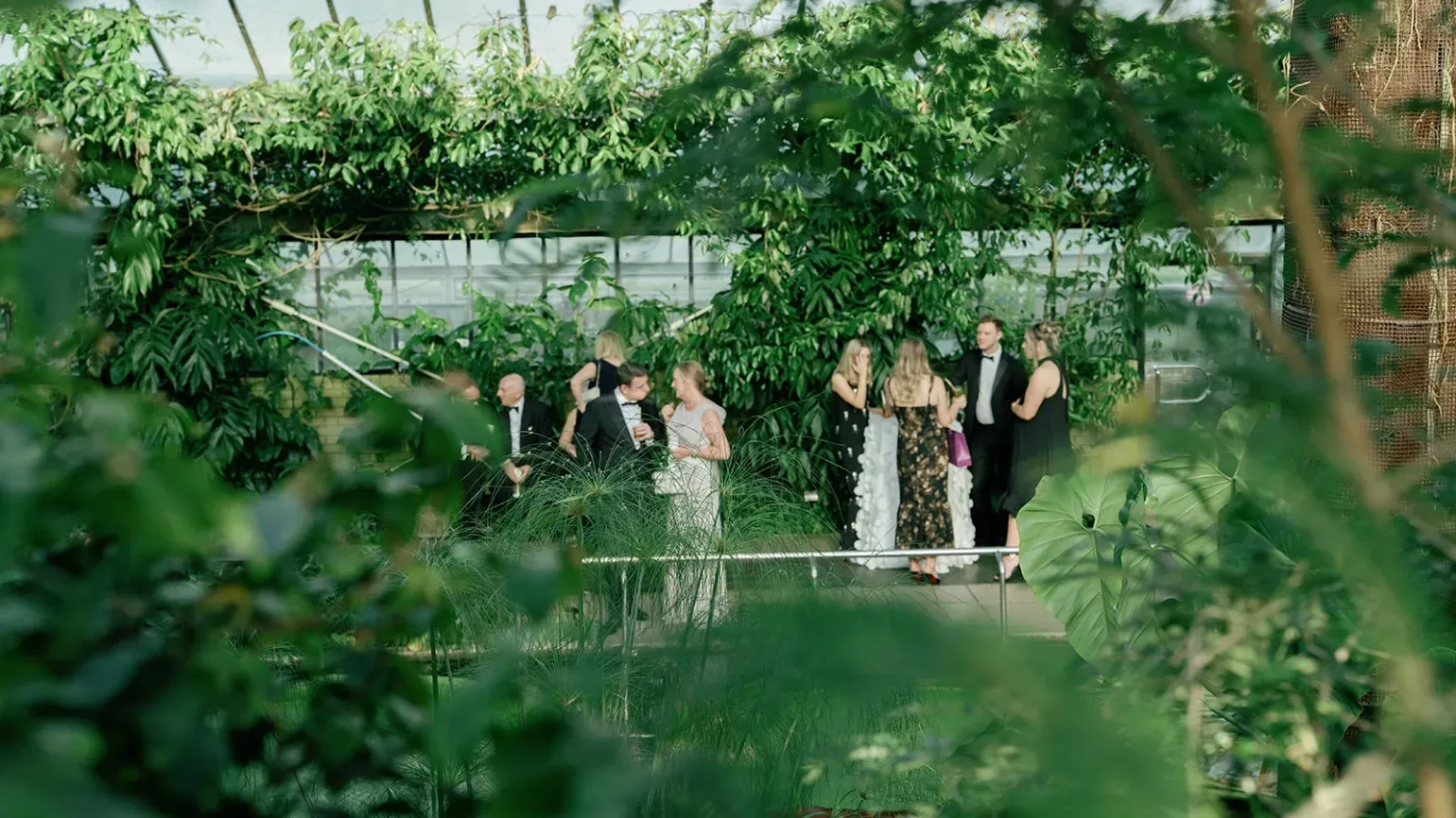 Princess of Wales Conservatory Drinks Reception