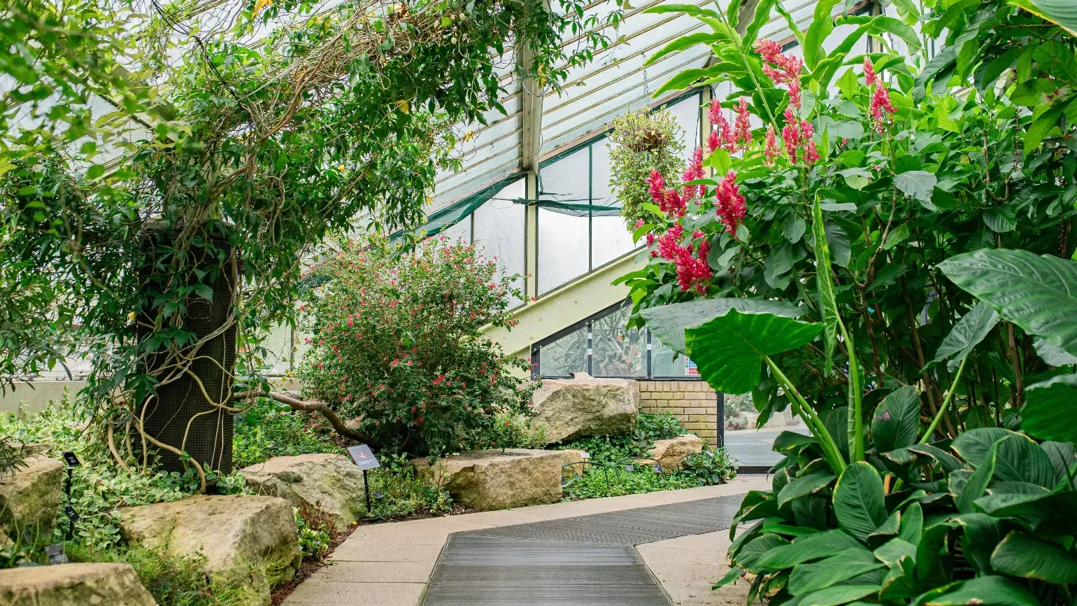 Drinks reception in the Princess of Wales Conservatory
