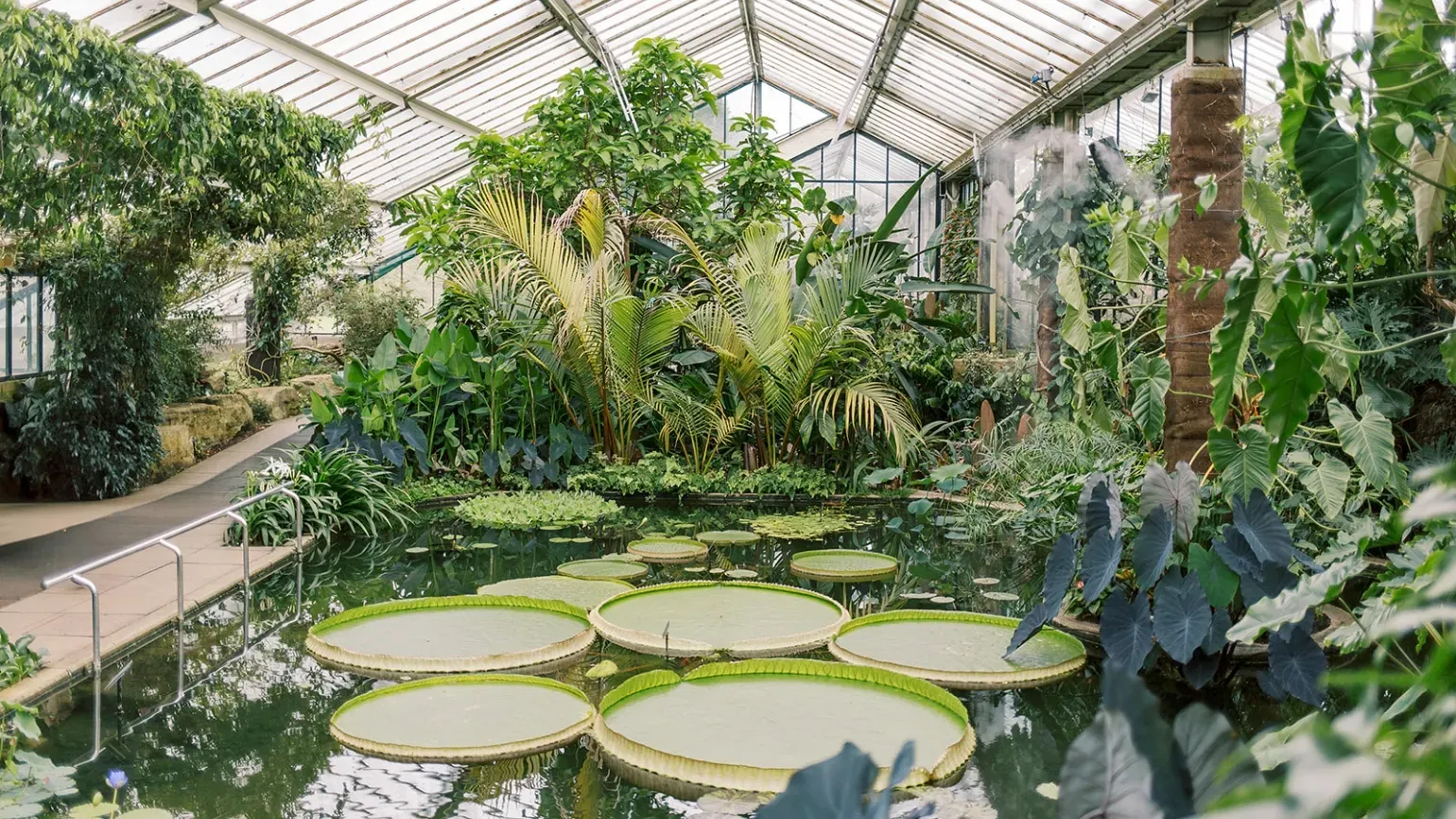 Drinks reception in the Princess of Wales Conservatory
