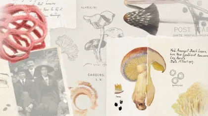 Collage of Fungi Illustrations and Female mycologists