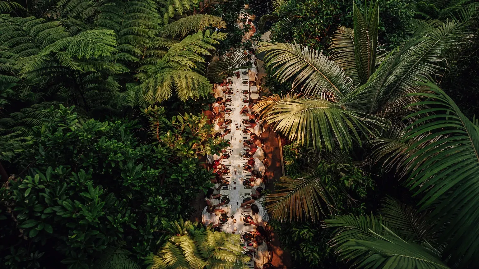 Temperate House Dining
