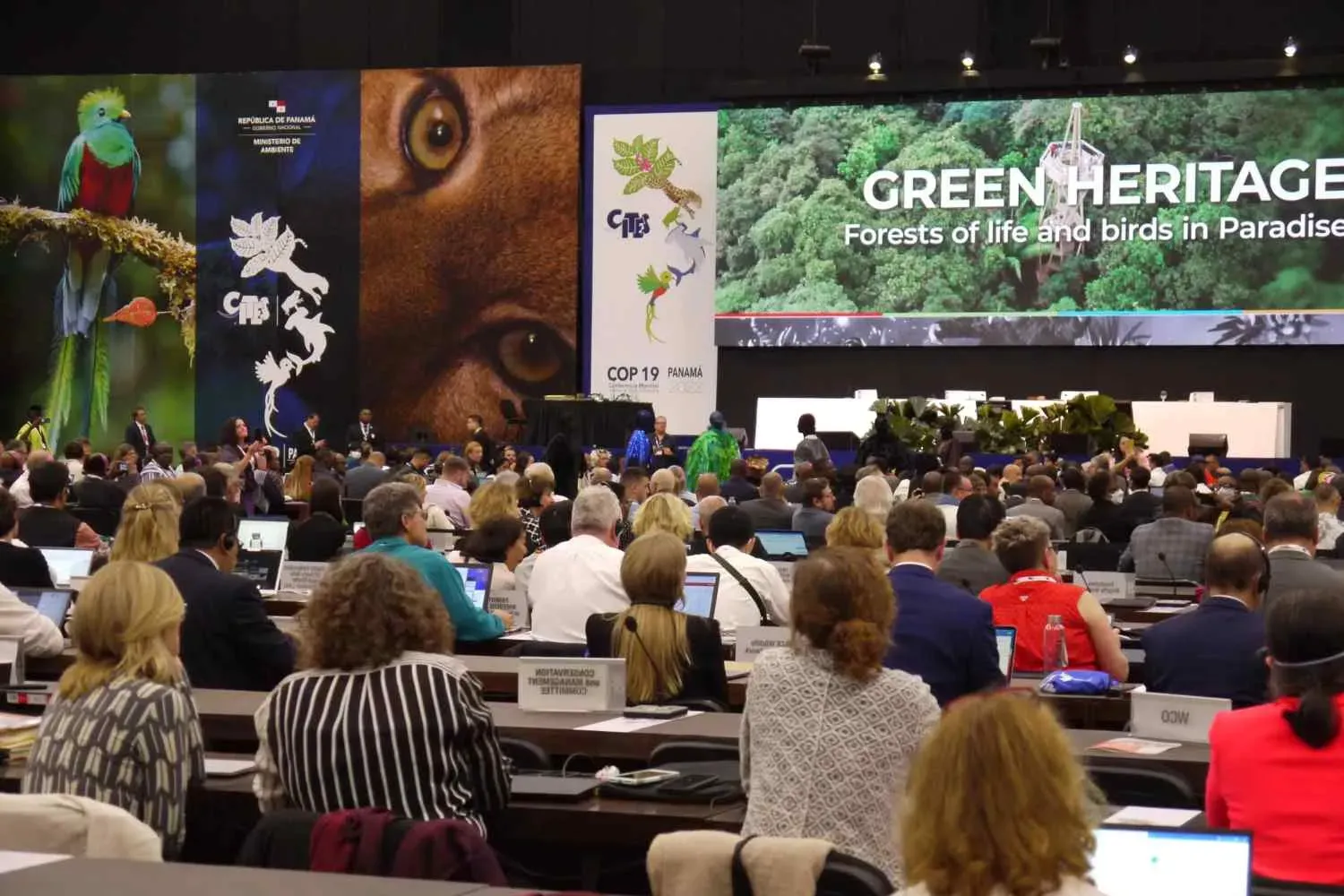 Wide view of the plenary hall at CITES CoP19 with delegates seated at rows of desks, facing a stage with large CITES banners and monitors displaying the conference title.
