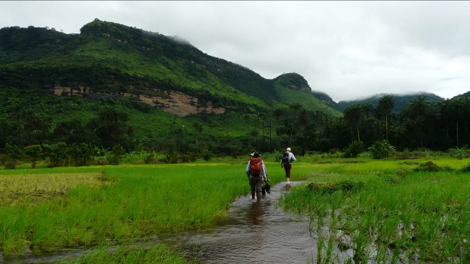 Three people with backpacks walking through shallow water and lush green grasslands towards forested hills and rocky cliffs in Guinea.