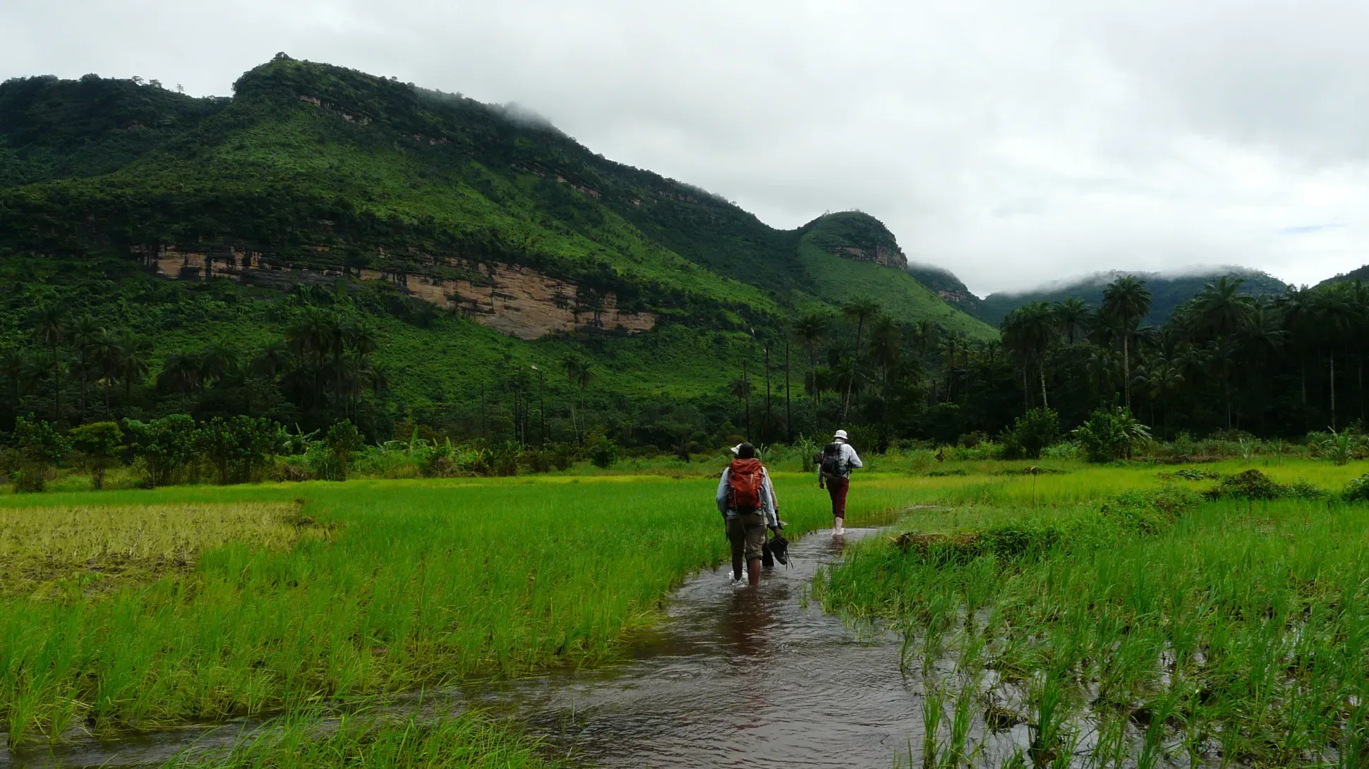 Three people with backpacks walking through shallow water and lush green grasslands towards forested hills and rocky cliffs in Guinea.