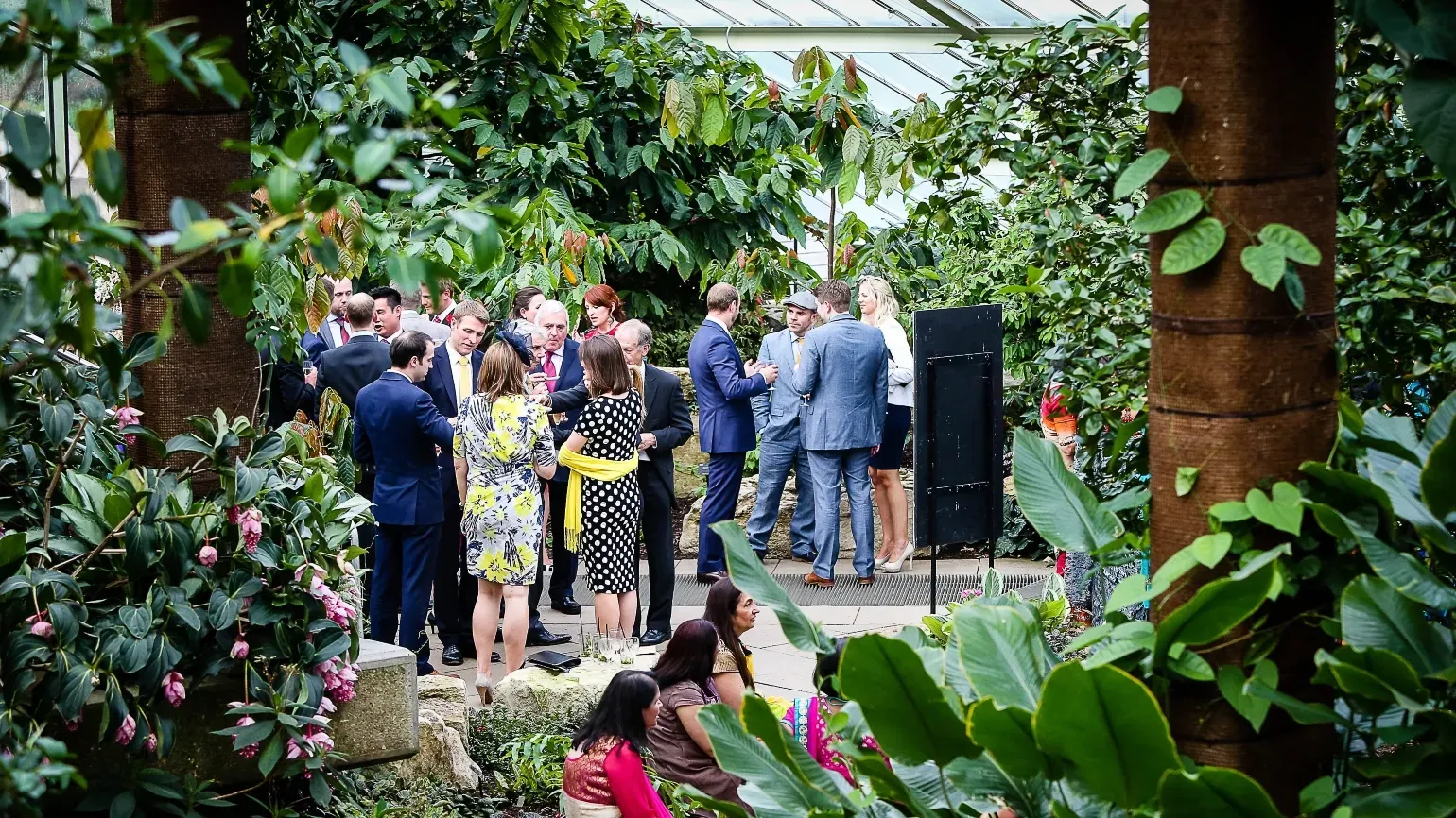 A drinks reception in the Princess of Wales Conservatory 