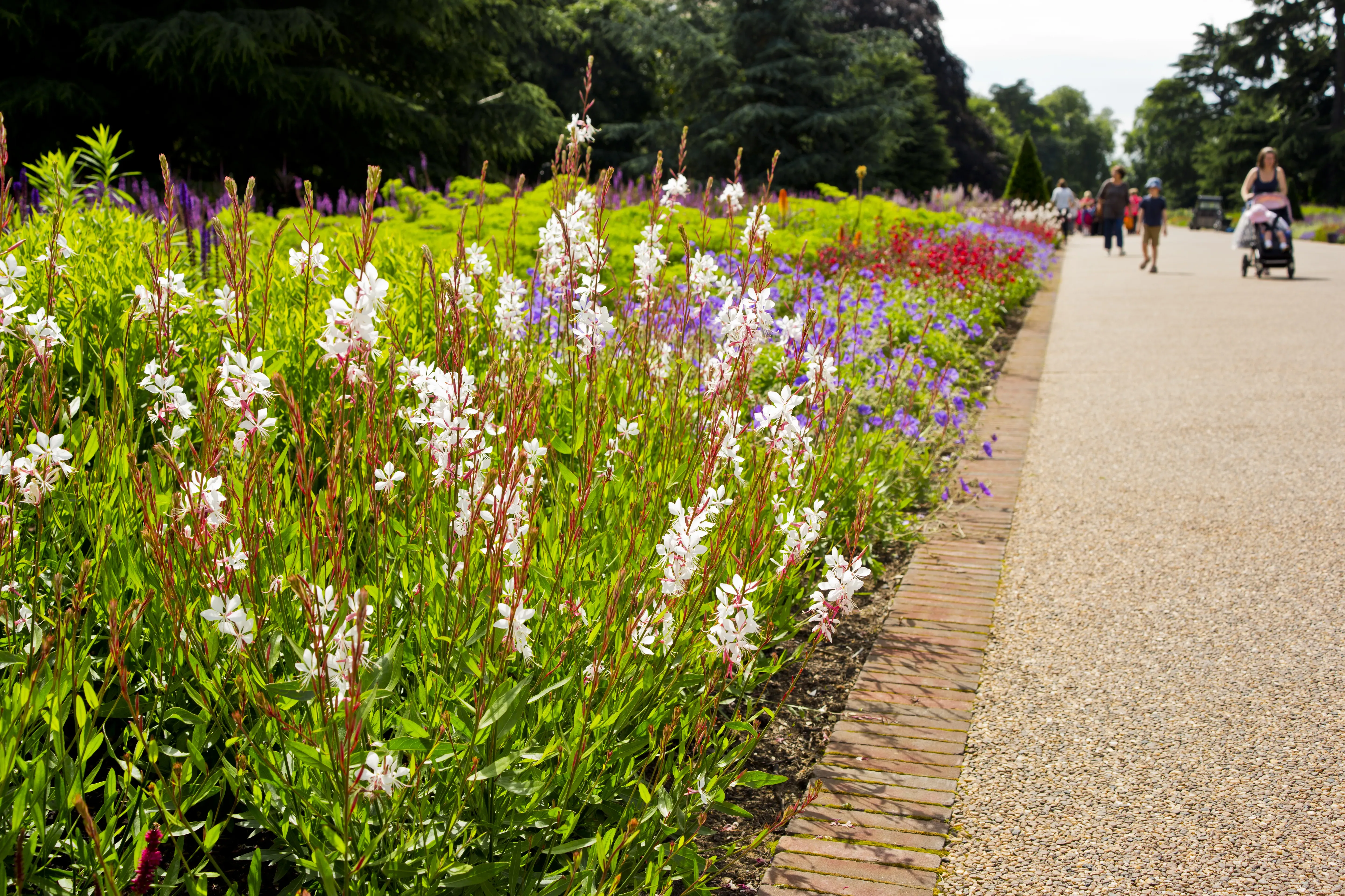 Flower beds at Broad Walk Borders