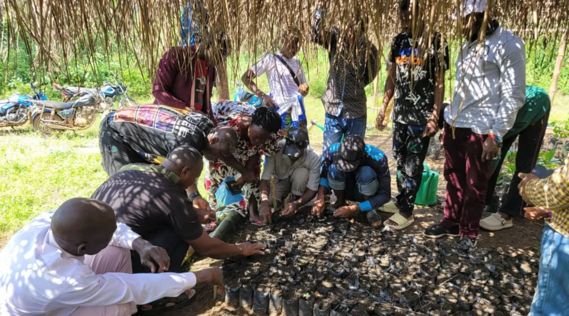 People outdoors examining plant material under a shelter