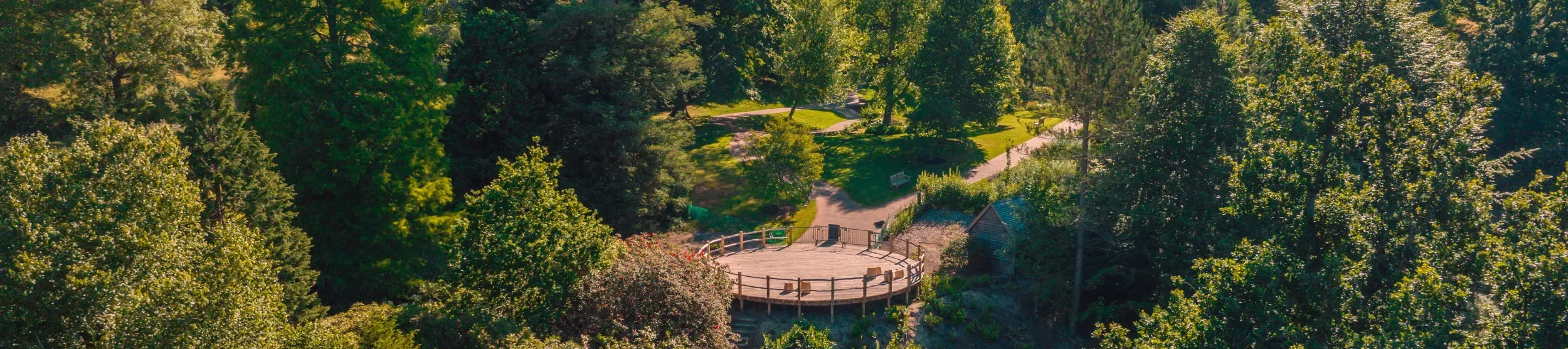 Aerial view of a wooden platform surrounded by trees