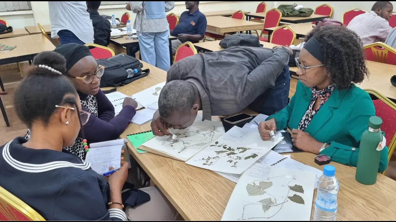 Individuals working on their plant identification at a table