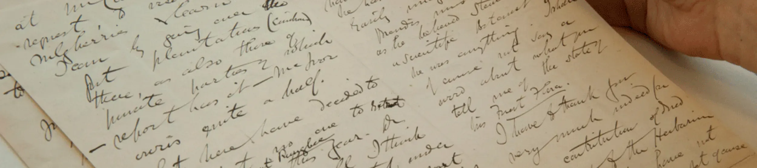 A letter found in Kew's archive collection