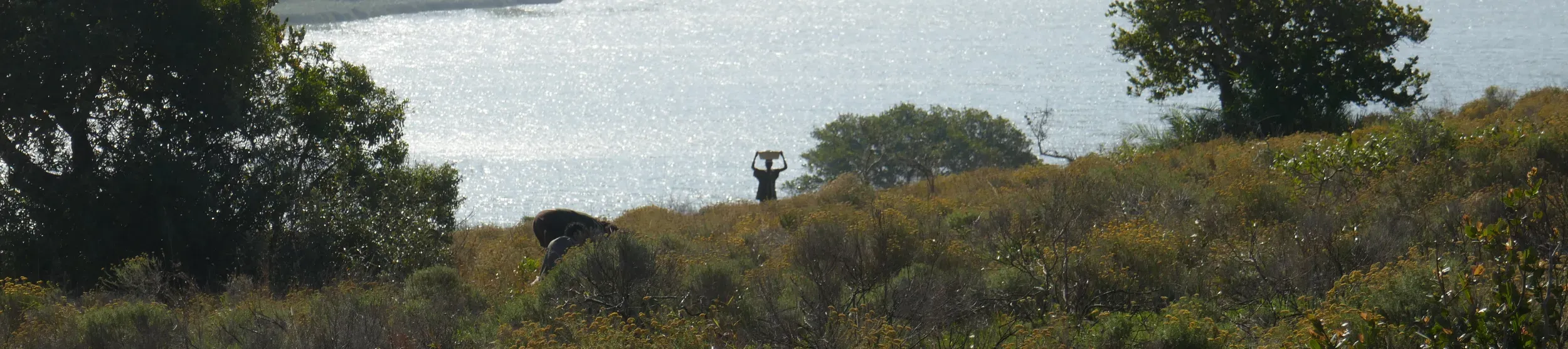 Amongst a grassy landscape and lake backdrop, a man carries a basket atop his head