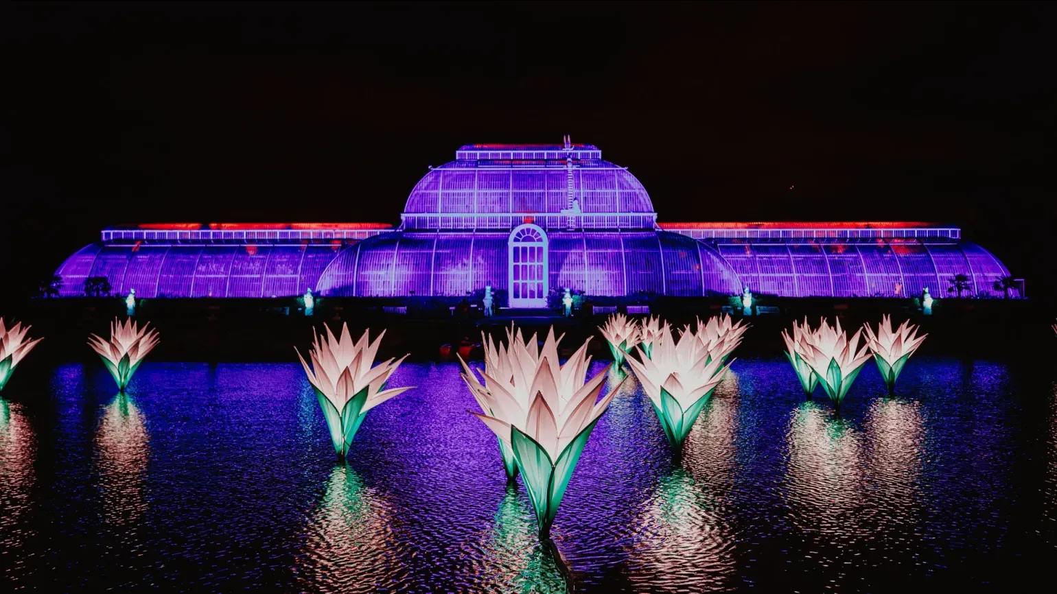 Palm House at Christmas at Kew