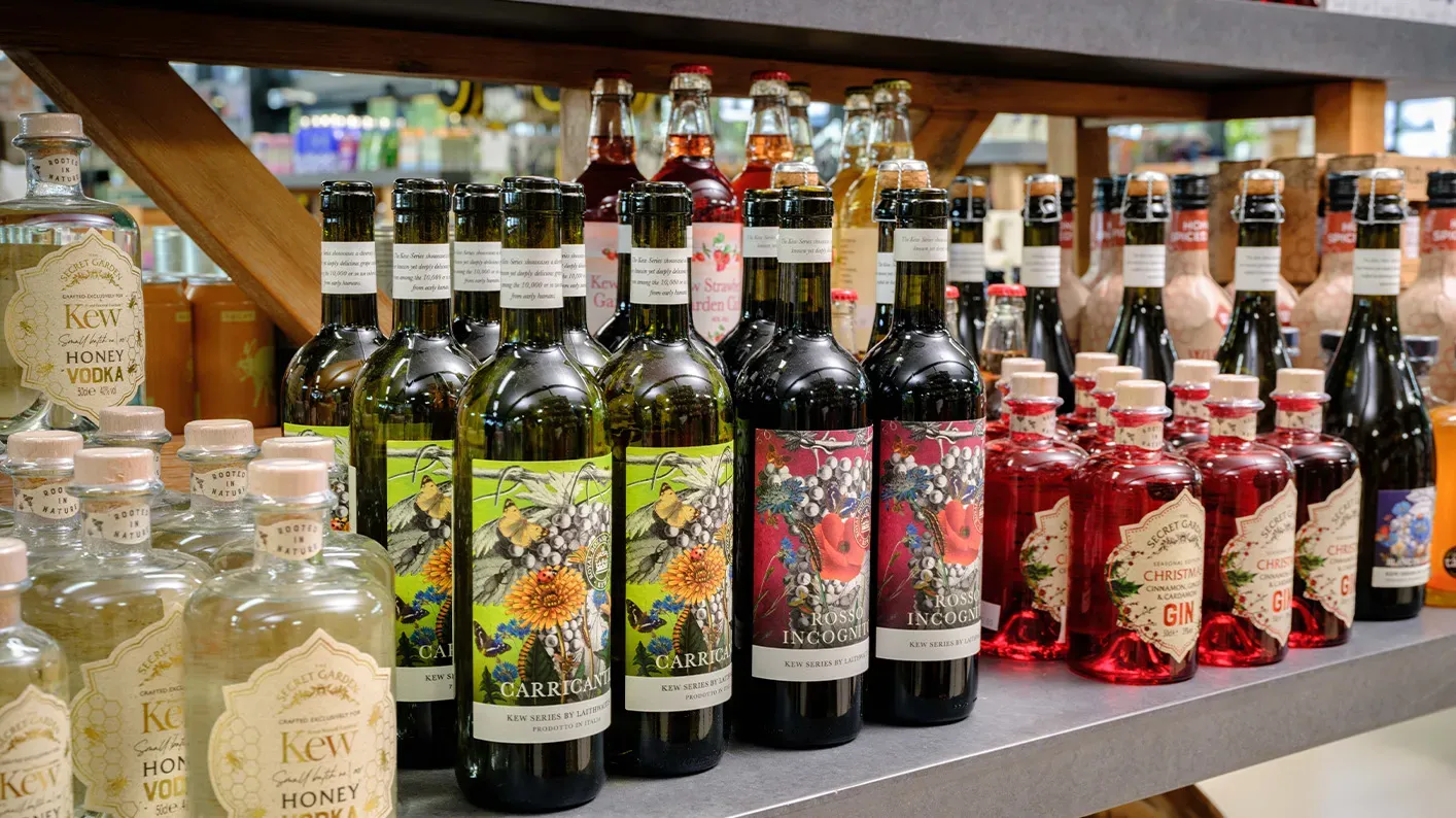 A selection of wine and gin bottles on a shelf