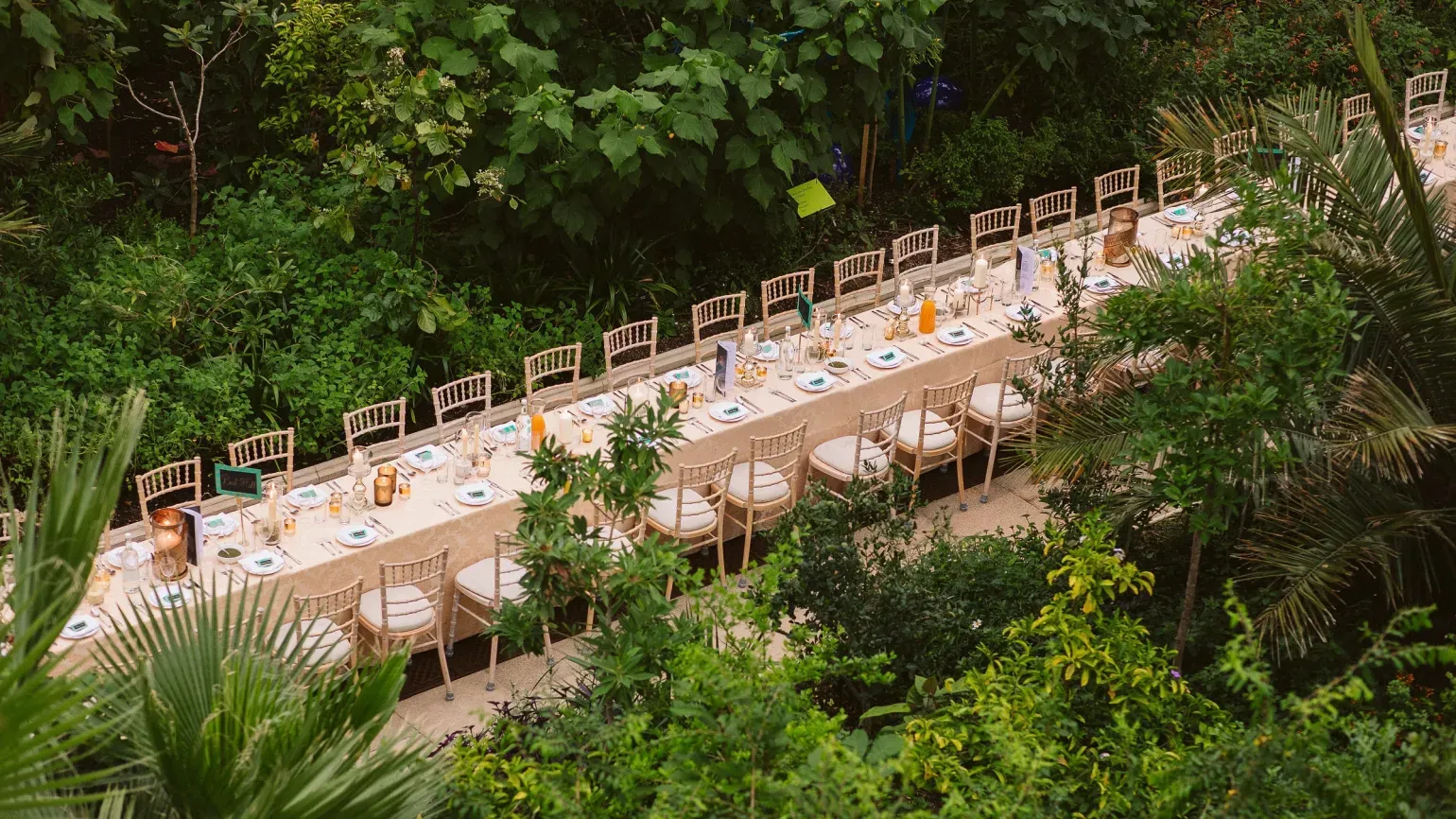 A long dinner table in the leafy green temperate house