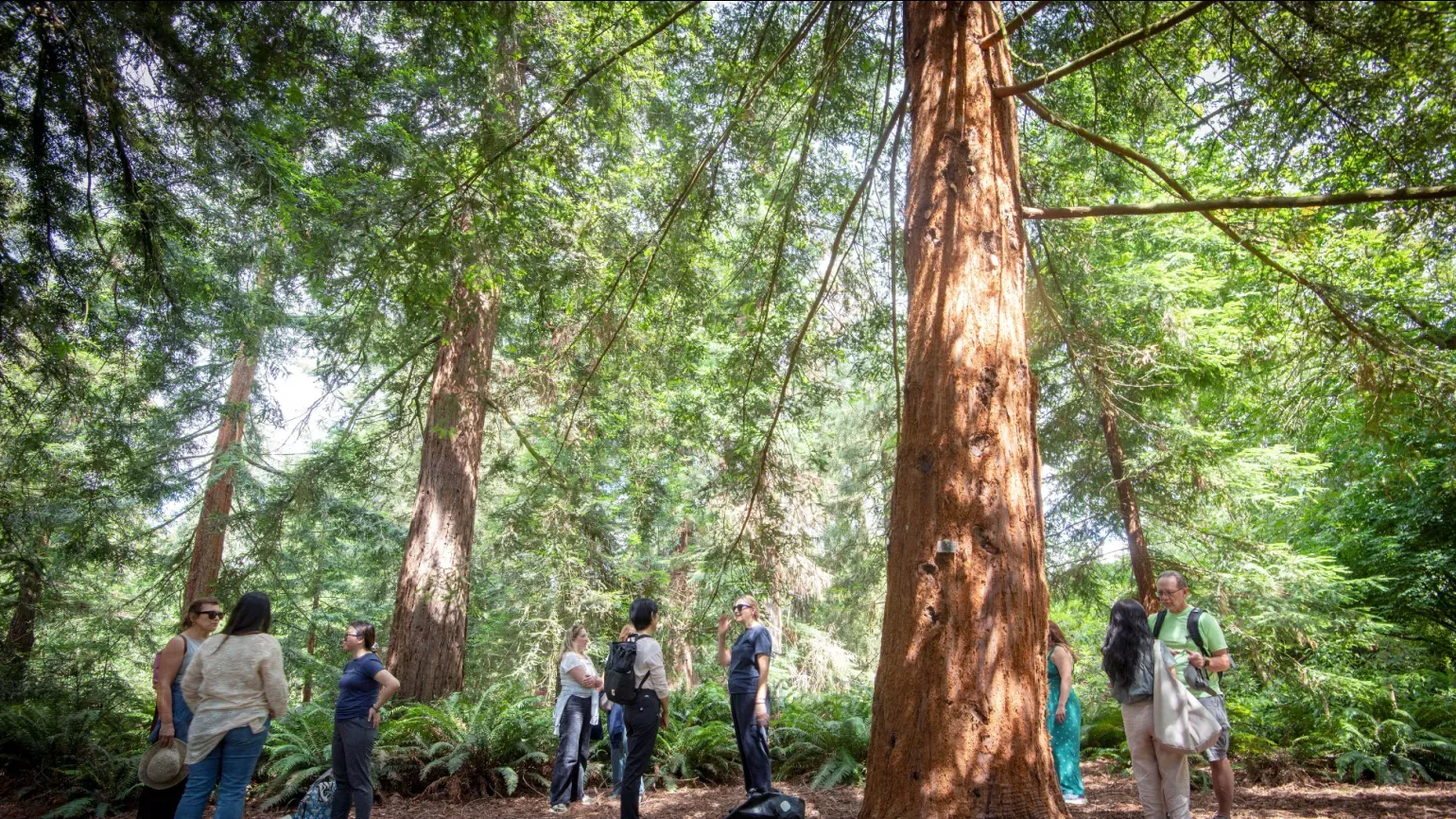 Forest bathing at Kew