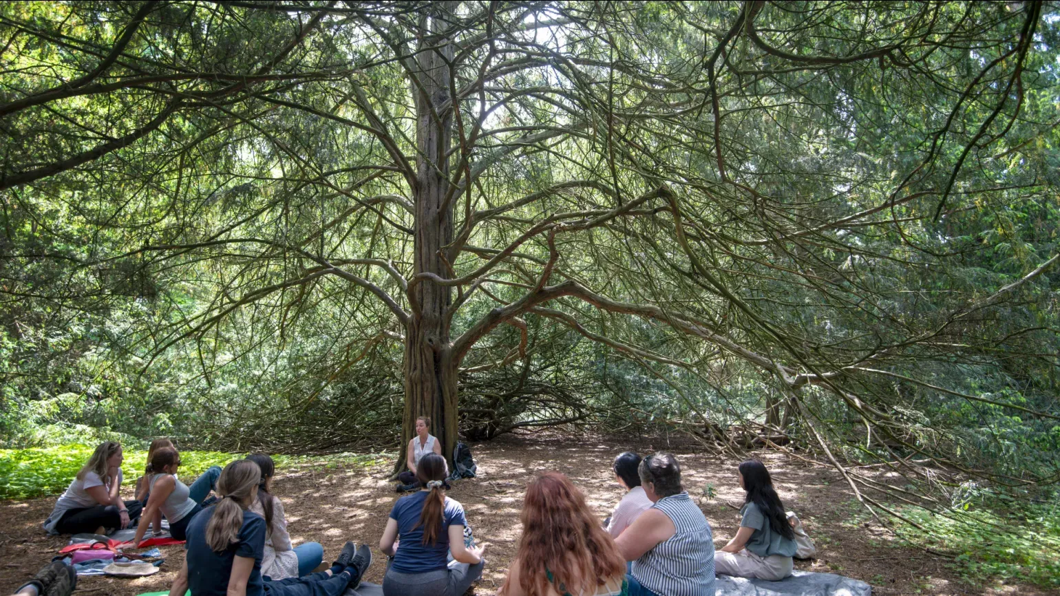 Forest bathing at Kew