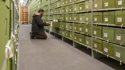 Researcher looking in green boxes