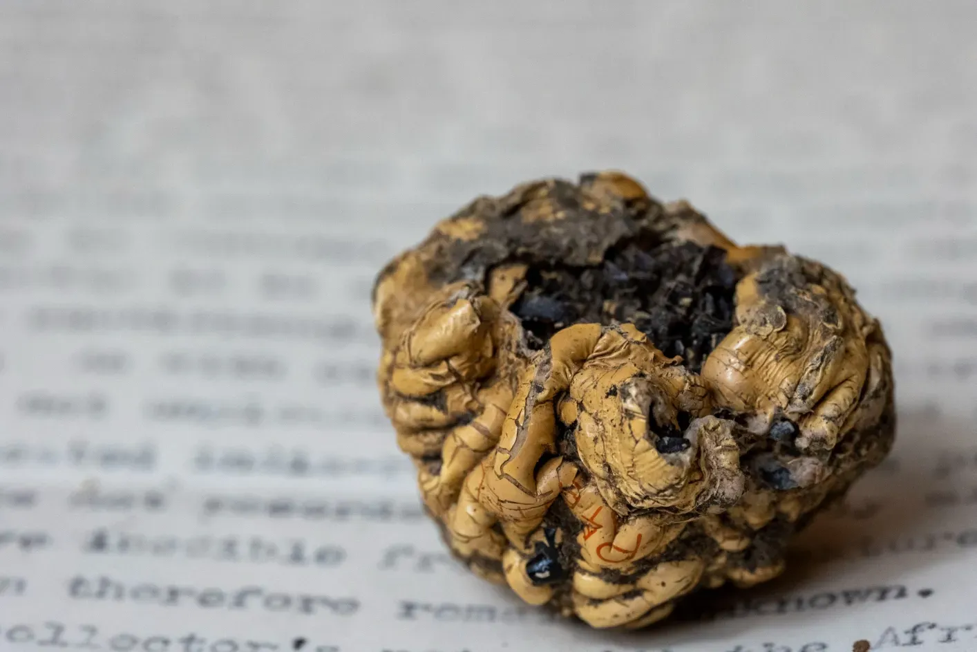 Close up image of the burnt golf ball showing the burnt strands of its rubber core