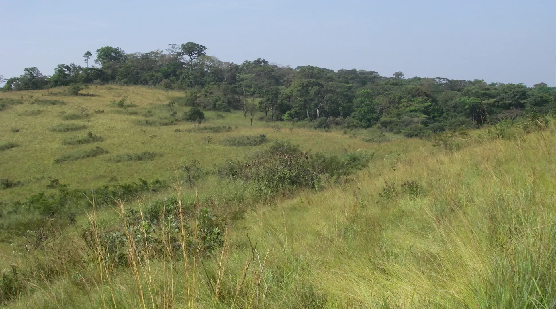 Lush Guinea landscape and rolling hills