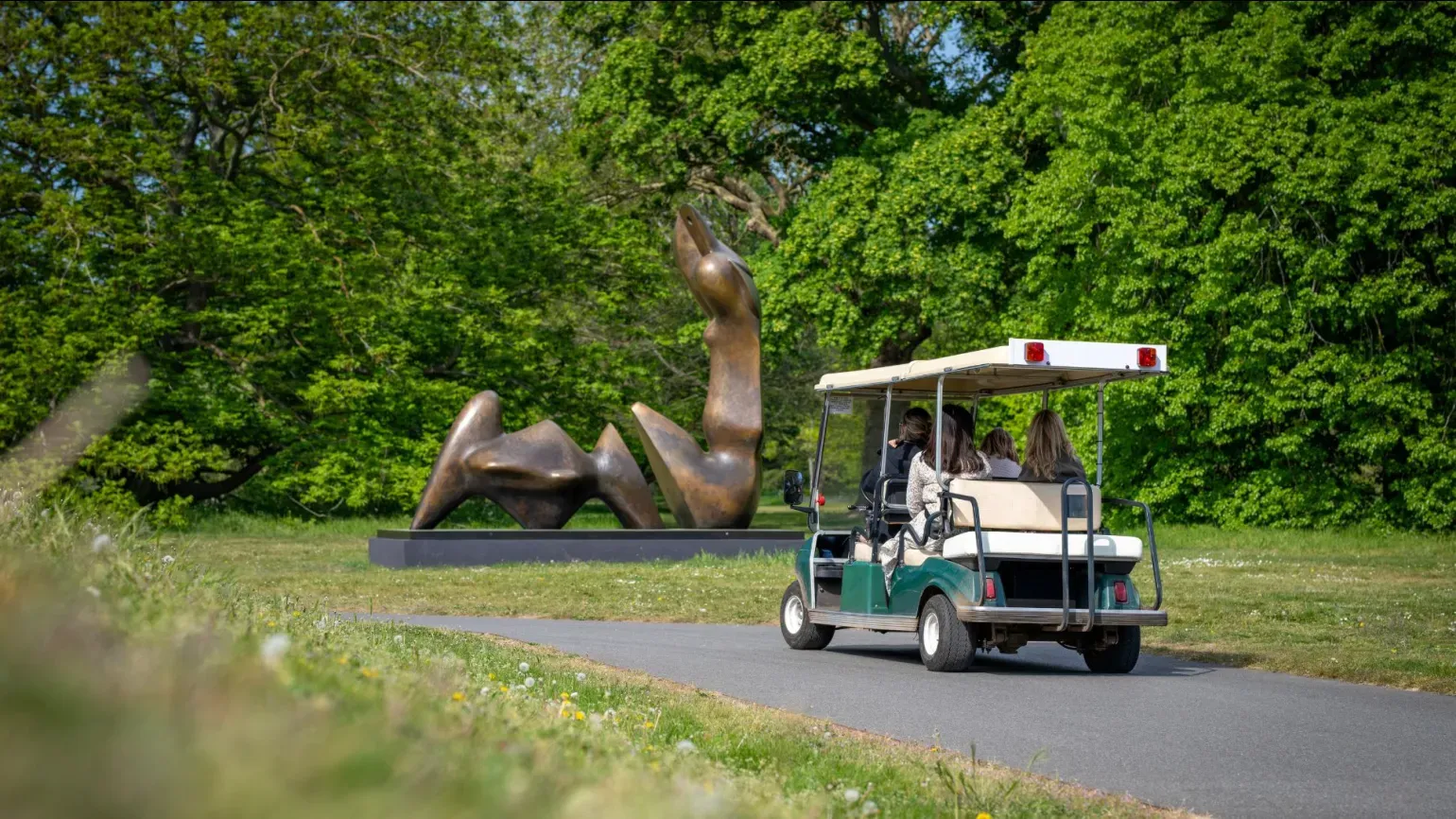 Sunset Buggy Tours at Kew