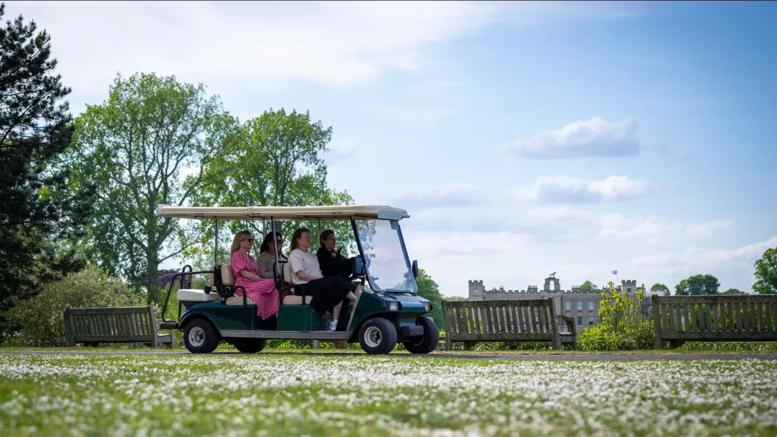 Sunset Buggy Tours at Kew
