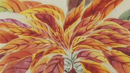 Detail of an illustration from Honzō Zufu