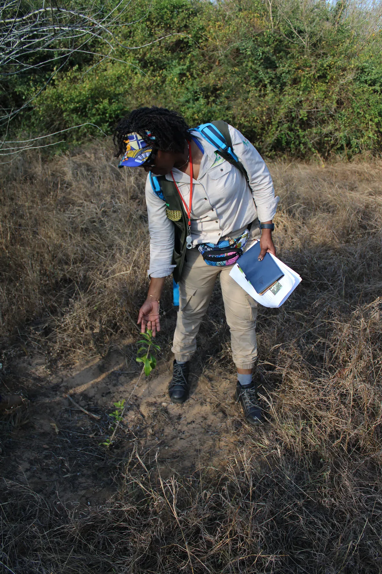 A woman points down at a small sapling among a sea of grass