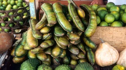 A pile of large inga pods surrounded by two bowls of limes