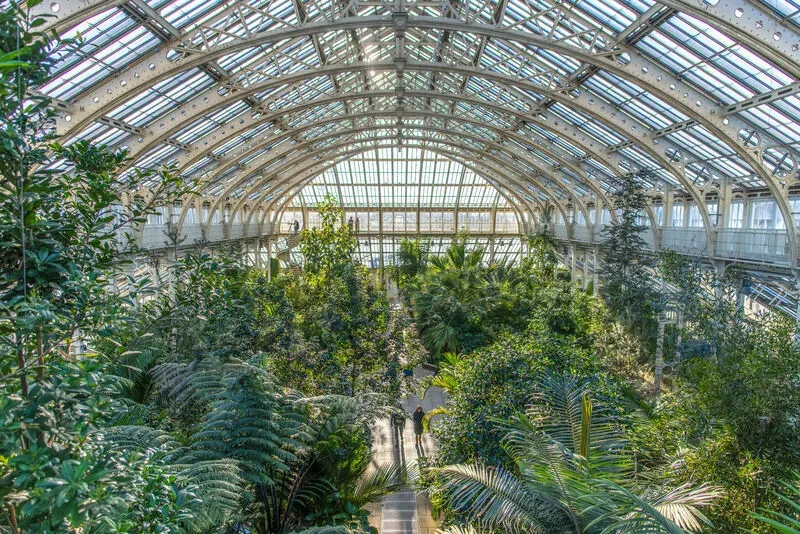 Temperate House