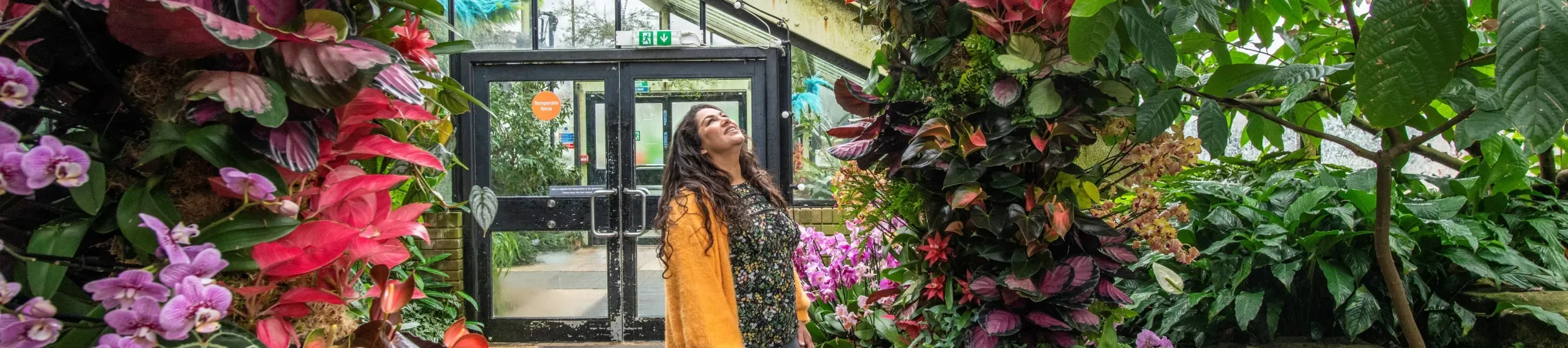 Woman admiring orchids display