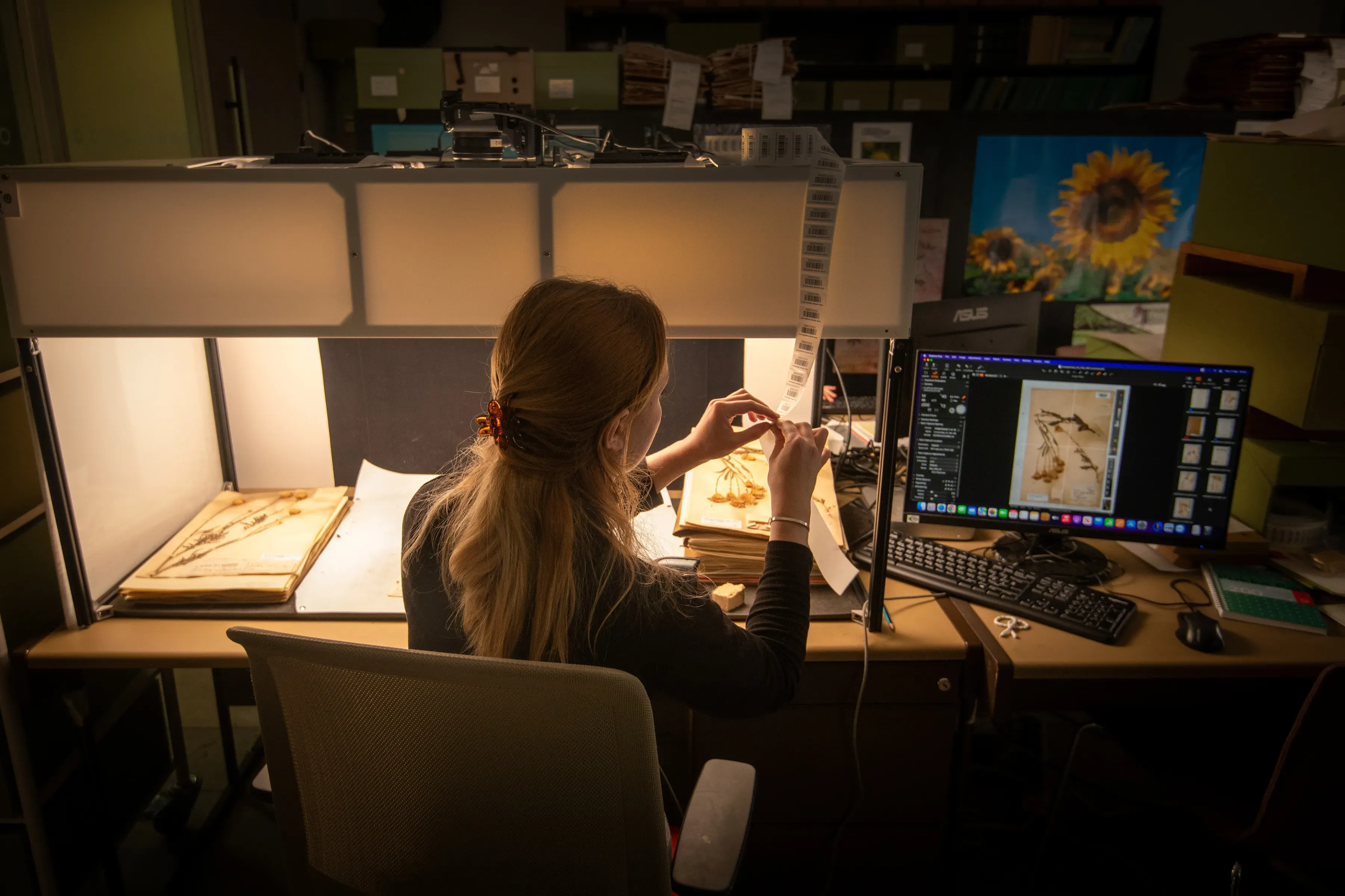 Woman digitises a plant specimen from Kew's Herbarium