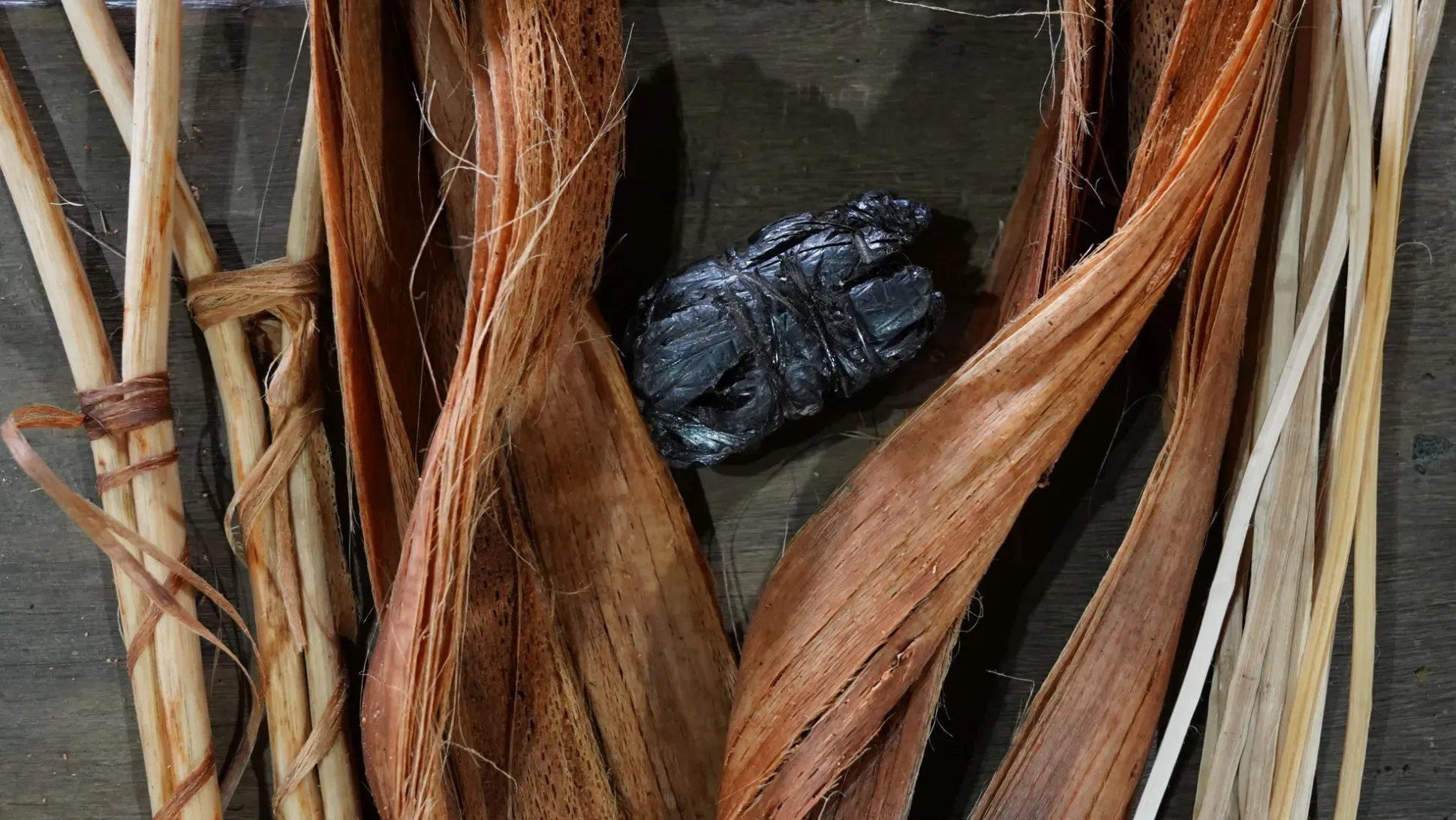 At least 25 species were used to construct and dye baskets. Image left to right: Sorocea muriculata, Anaxagorea dolichocarpa (bark fibre), Symphonia globulifera (resin) and Ischnosiphon arouma
