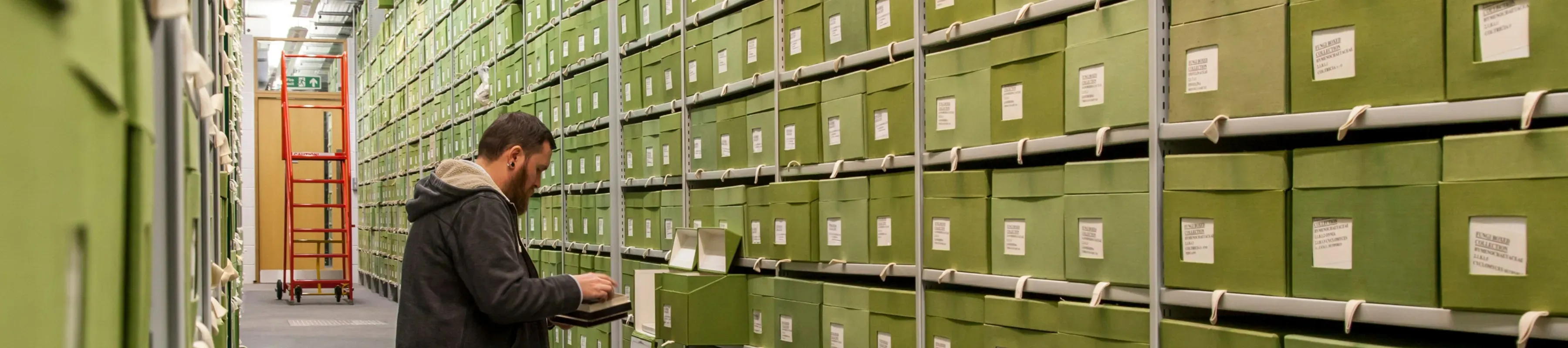 A researcher looking in a green box on a shelf full of green boxes