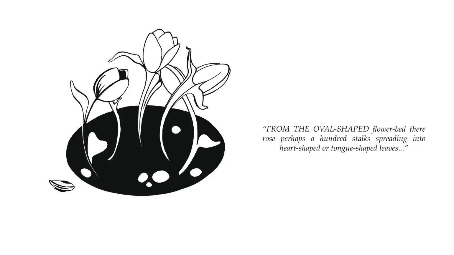 Black and white illustration of tulips in the ground. text: From the oval-shaped flower-bed there rose perhaps a hundred stalks spreading into heart-shaped or tongue-shaped leaves...