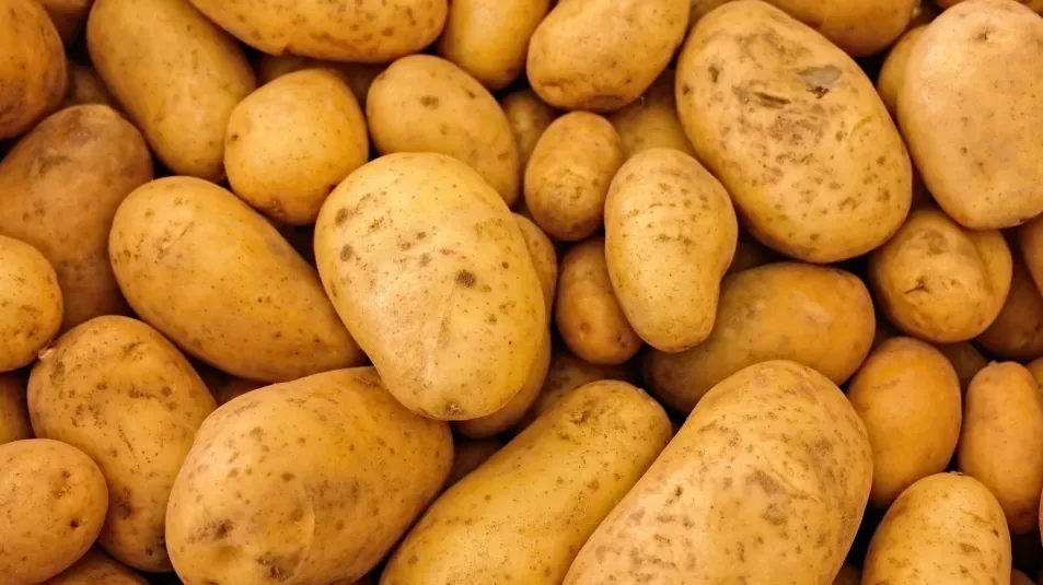 Dozens of golden brown potatoes