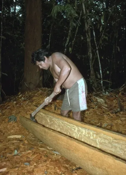 Sebastião Sostene Costa da Silva, making a dugout canoe in 1994