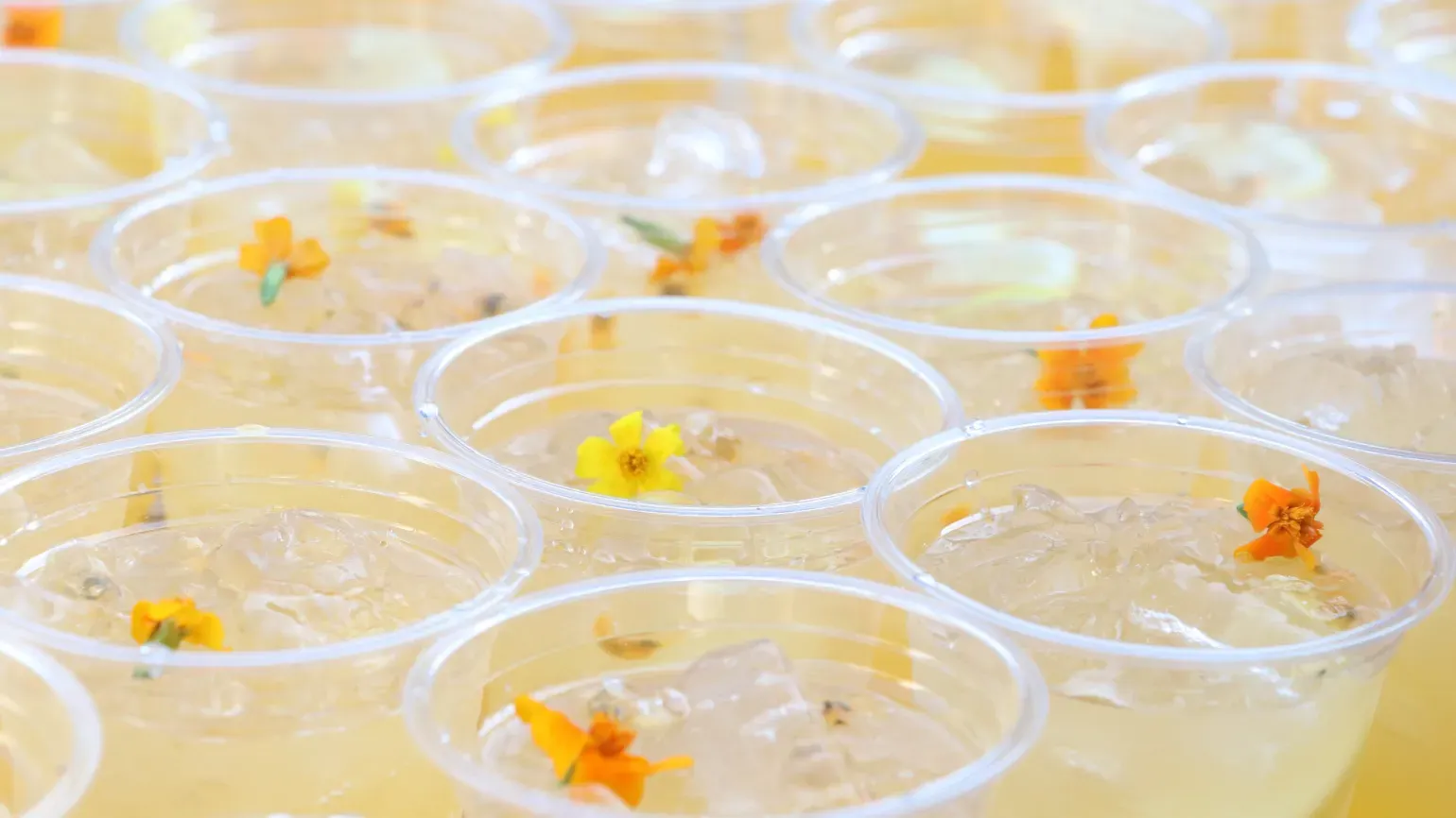 Orange cocktails with dainty flower garnish