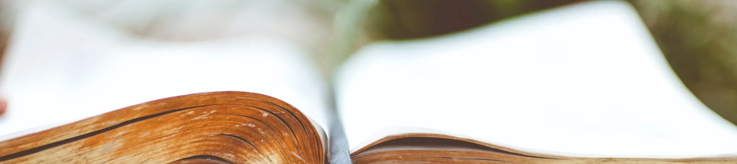 An open book resting on a table with plants behind