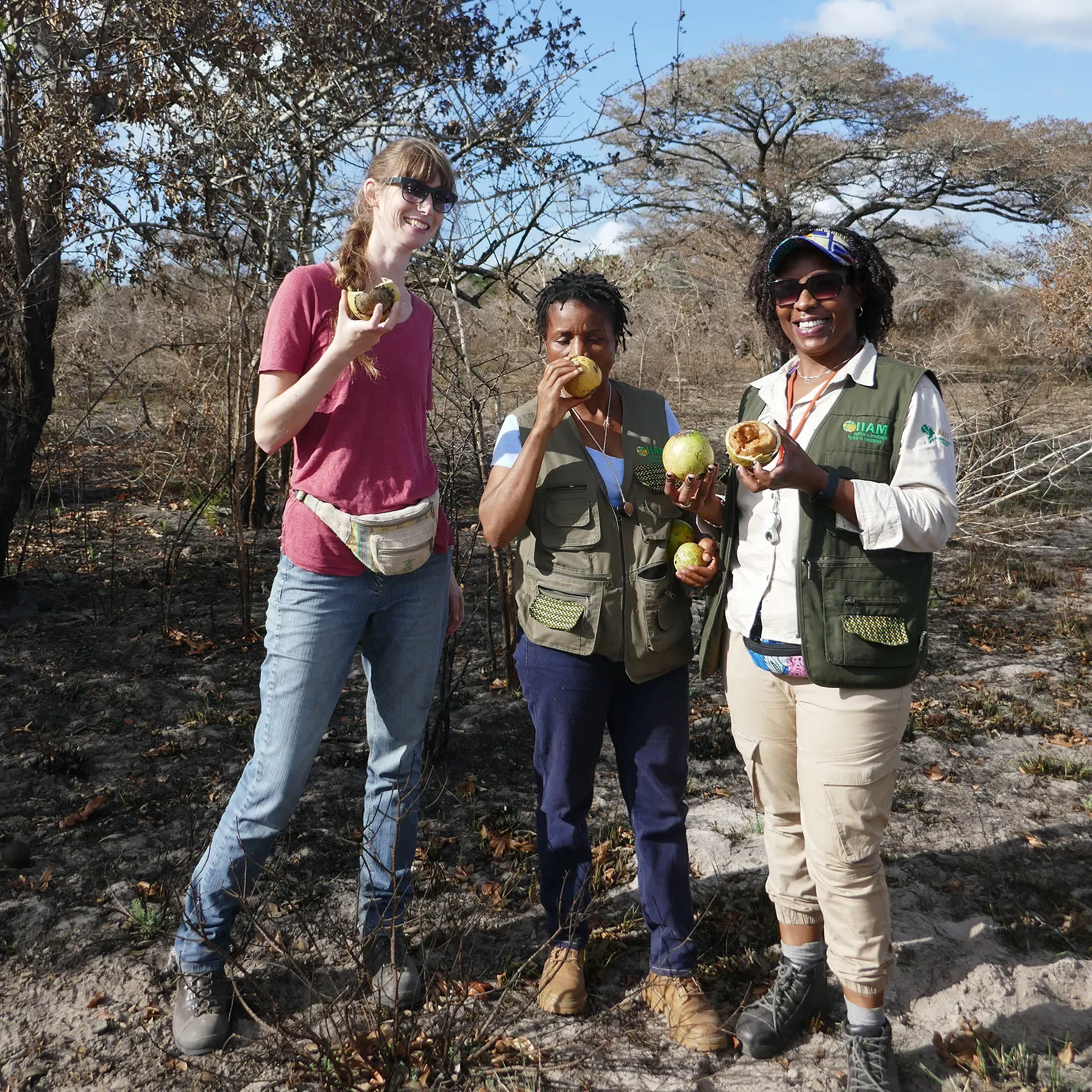 Three woman eat a Mozambican fruit surrunded by a fieldwork scene of small trees and dirt