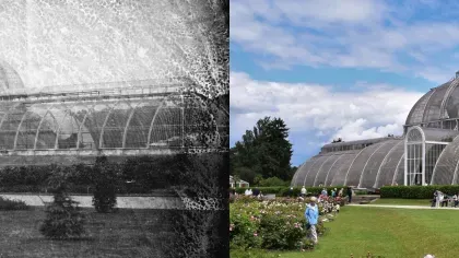 Palm House then and now