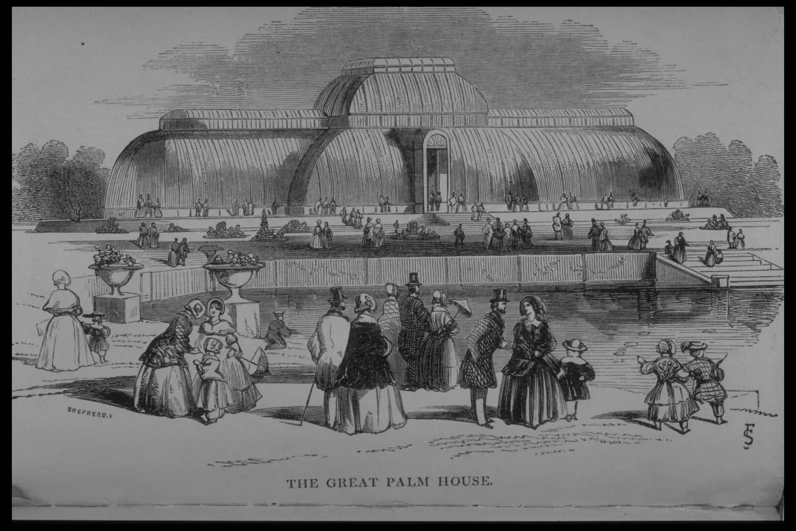 A victorian era illustration of Kew's palm house. The palm house is in the background and people dressed in victorian clothes gather in the front. The picture reads "The Great Palm House"